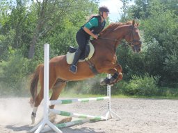img_3623_web